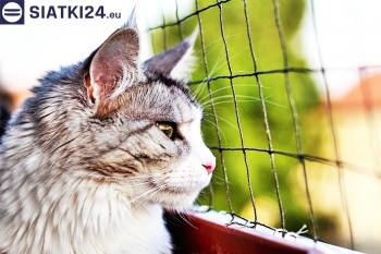 Siatki Żyrardów - Siatka na balkony dla kota i zabezpieczenie dzieci dla terenów Żyrardowa