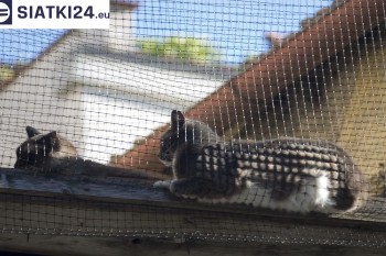 Siatki Żyrardów - Siatka na balkony dla kota i zabezpieczenie dzieci dla terenów Żyrardowa