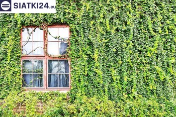 Siatki Żyrardów - Siatka z dużym oczkiem - wsparcie dla roślin pnących na altance, domu i garażu dla terenów Żyrardowa